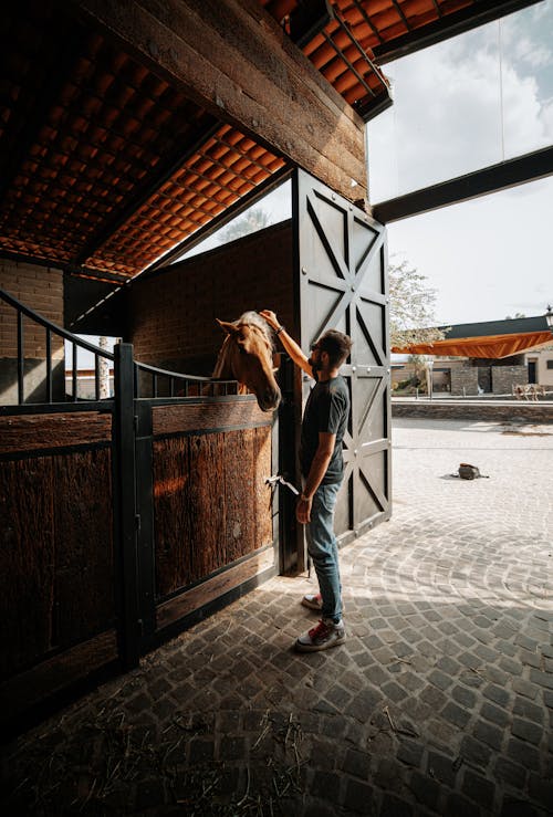 Man Patting Horse in Stable