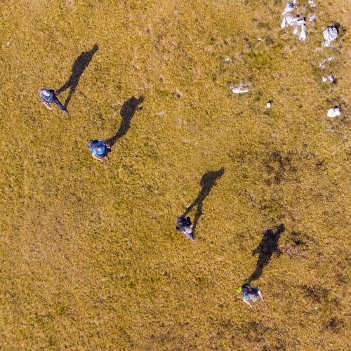 People Walking on a Field Seen From Above 