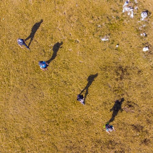 Free Aerial perspective of a group walking across a grassy field casting long shadows in sunlight. Stock Photo
