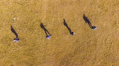 Aerial Footage of People Casting Shadows on a Yellow Ground