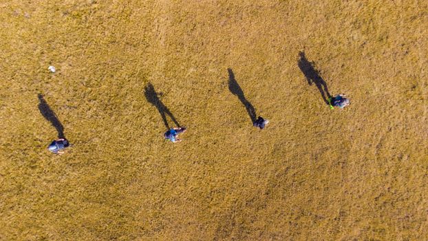 Top view of people walking on grass casting long shadows in Zenica, Bosnia.