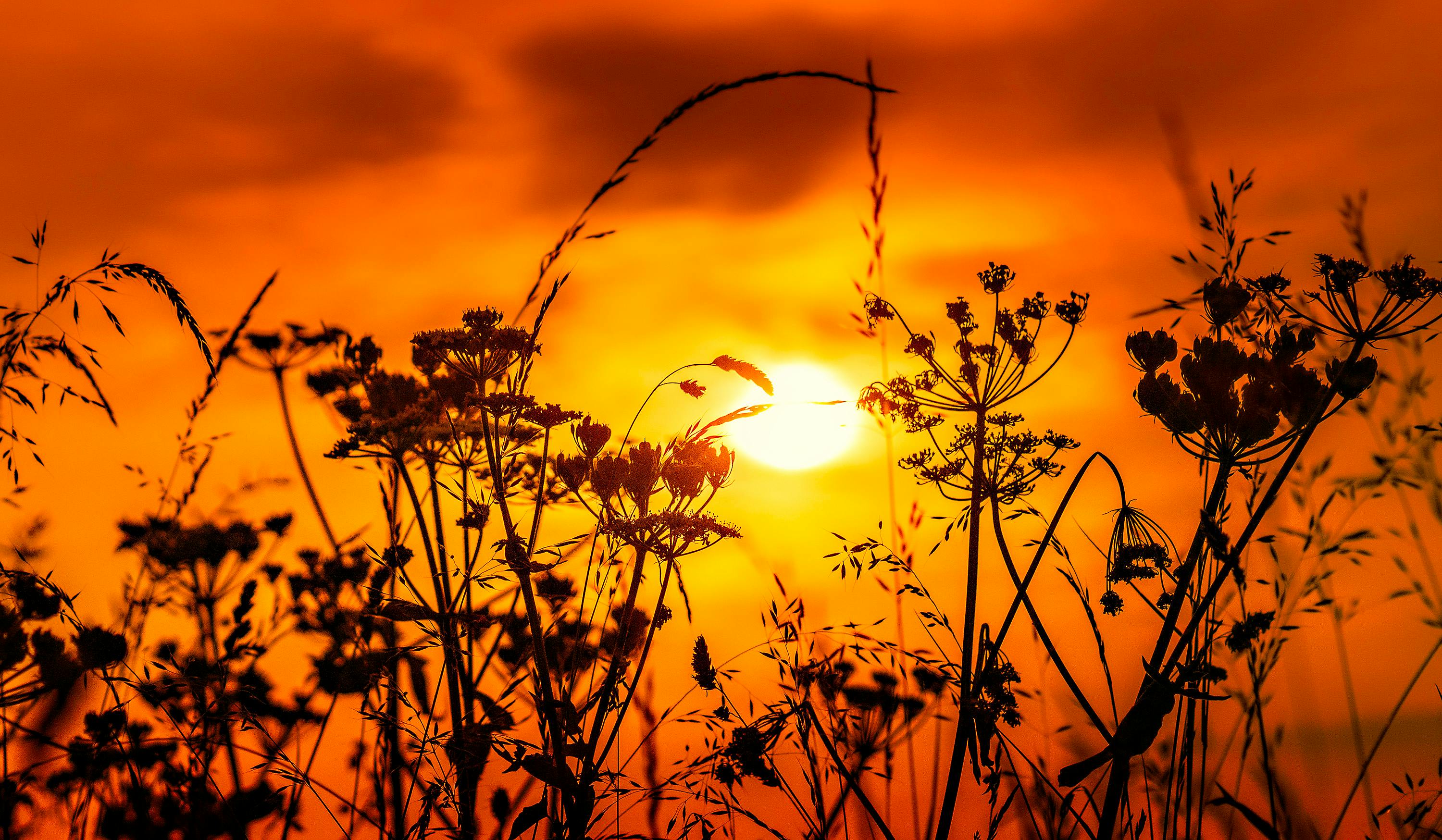 외제차 유지보수 이미지