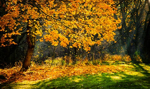 Spectacular Autumn Destinations to See Leaf Colors