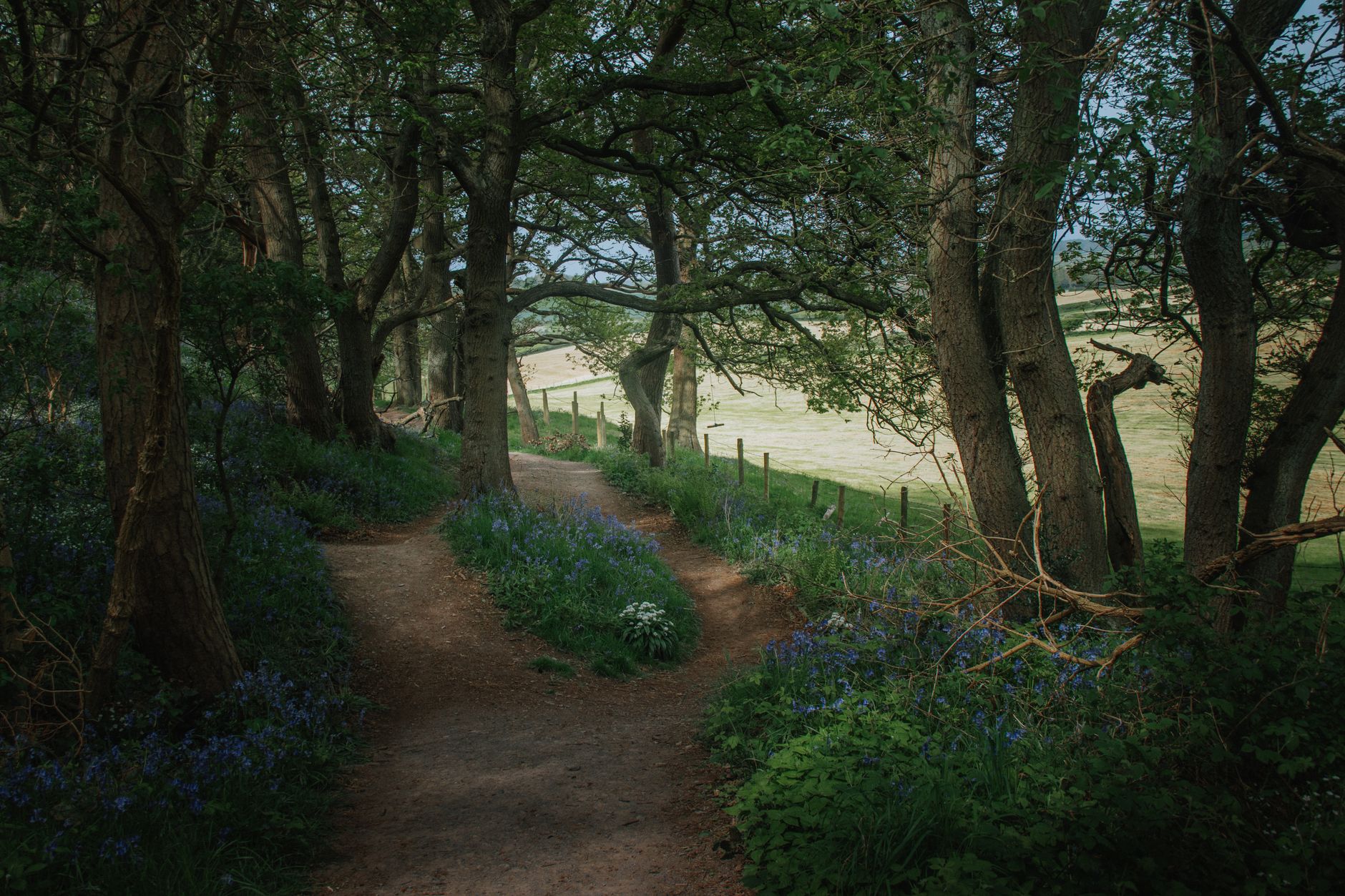 A muddy countryside ramble