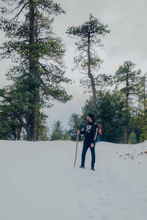 Man with Wooden Stick Hiking in Winter
