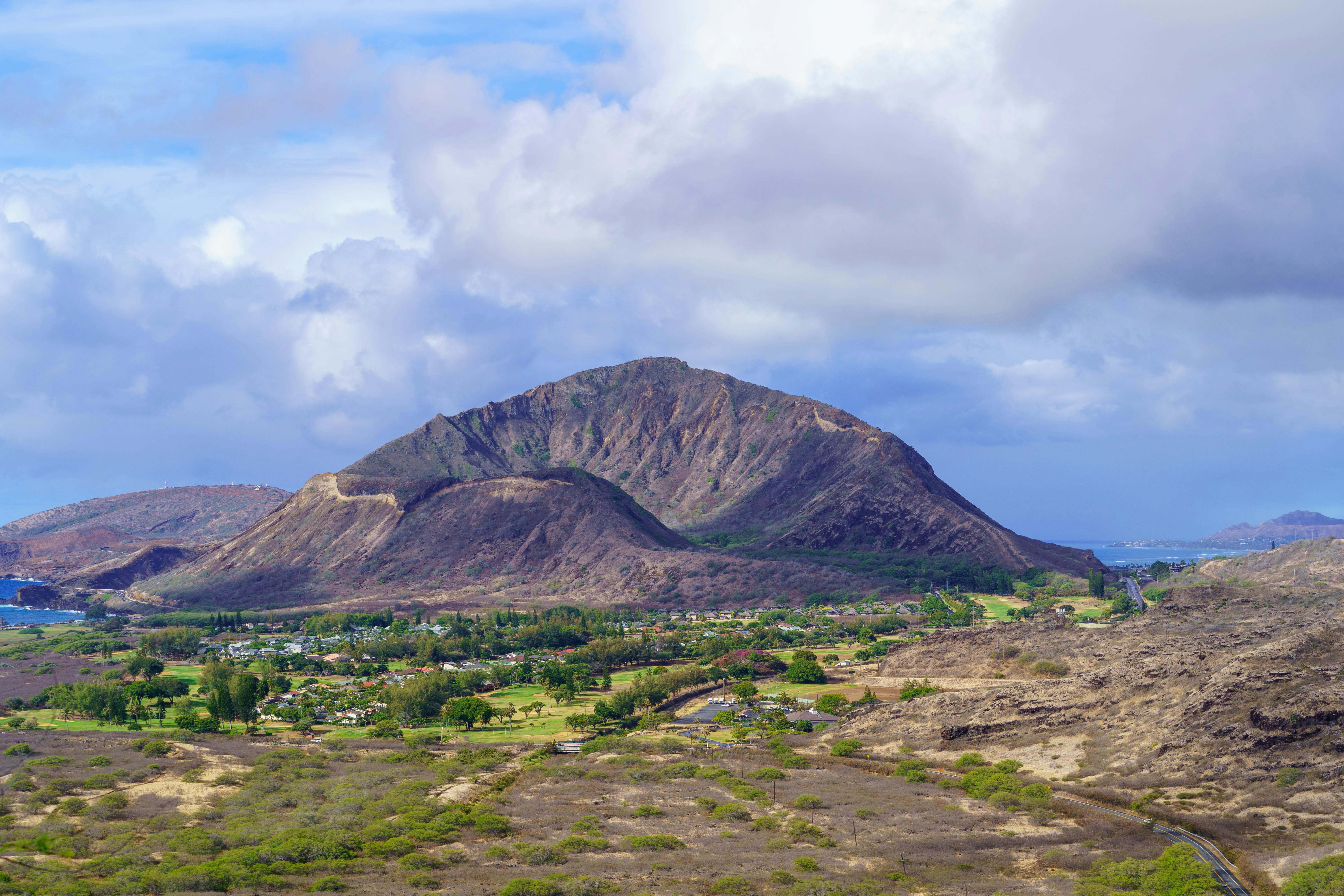 Hawaii Island Seed Bank helps build climate resilience - Honolulu Star — Photo by Cyrill on Pexels