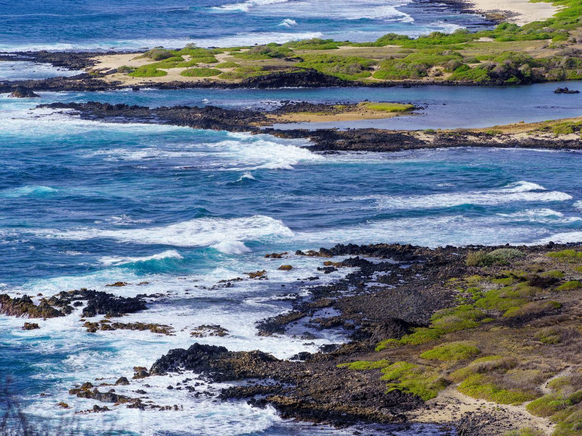 3 Day Connection Reset 1:1 Retreat in Honolulu, Hawaii 3
