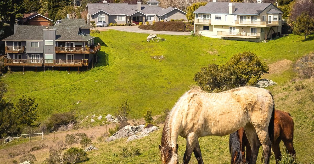 Tranquil hillside view of horses grazing near hillside homes in a rural village.