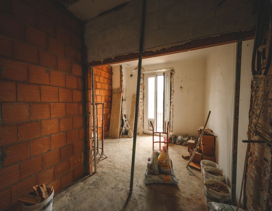 Mold Removal & Remediation