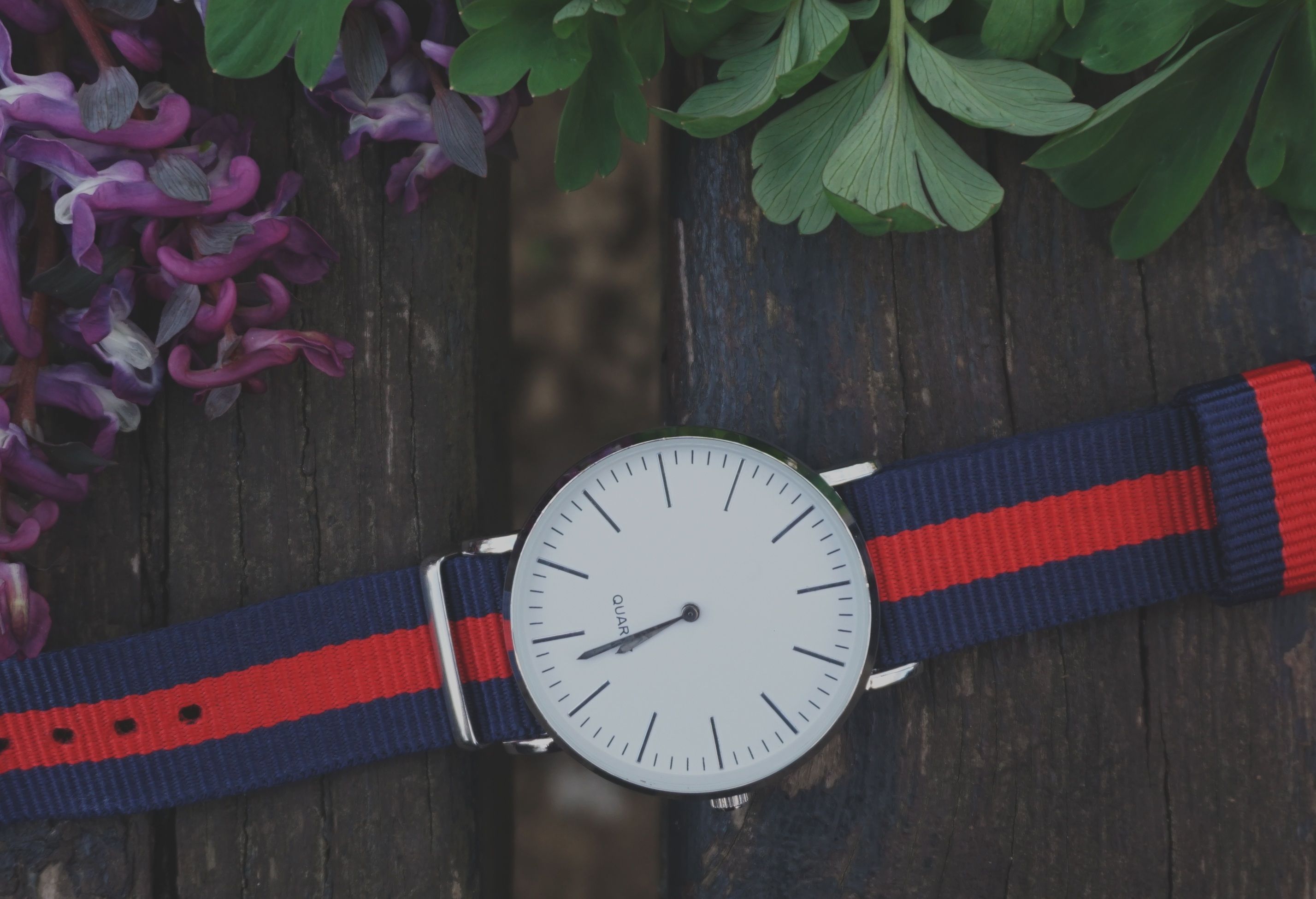 Space Gray Aluminum Case White Sport Band Strap Apple Watch · Free Stock Photo