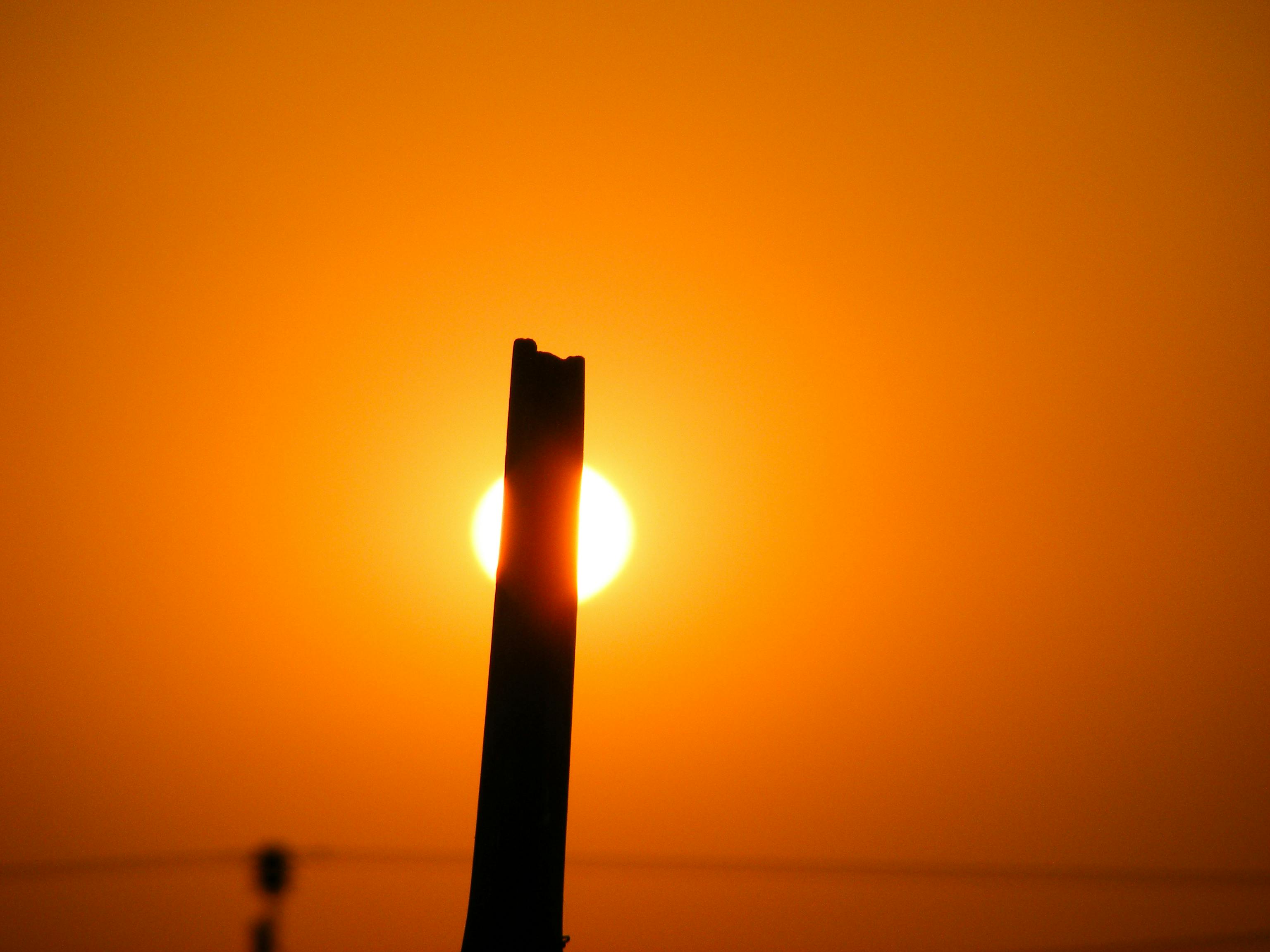 太陽 太陽の光 黄金の太陽の無料の写真素材