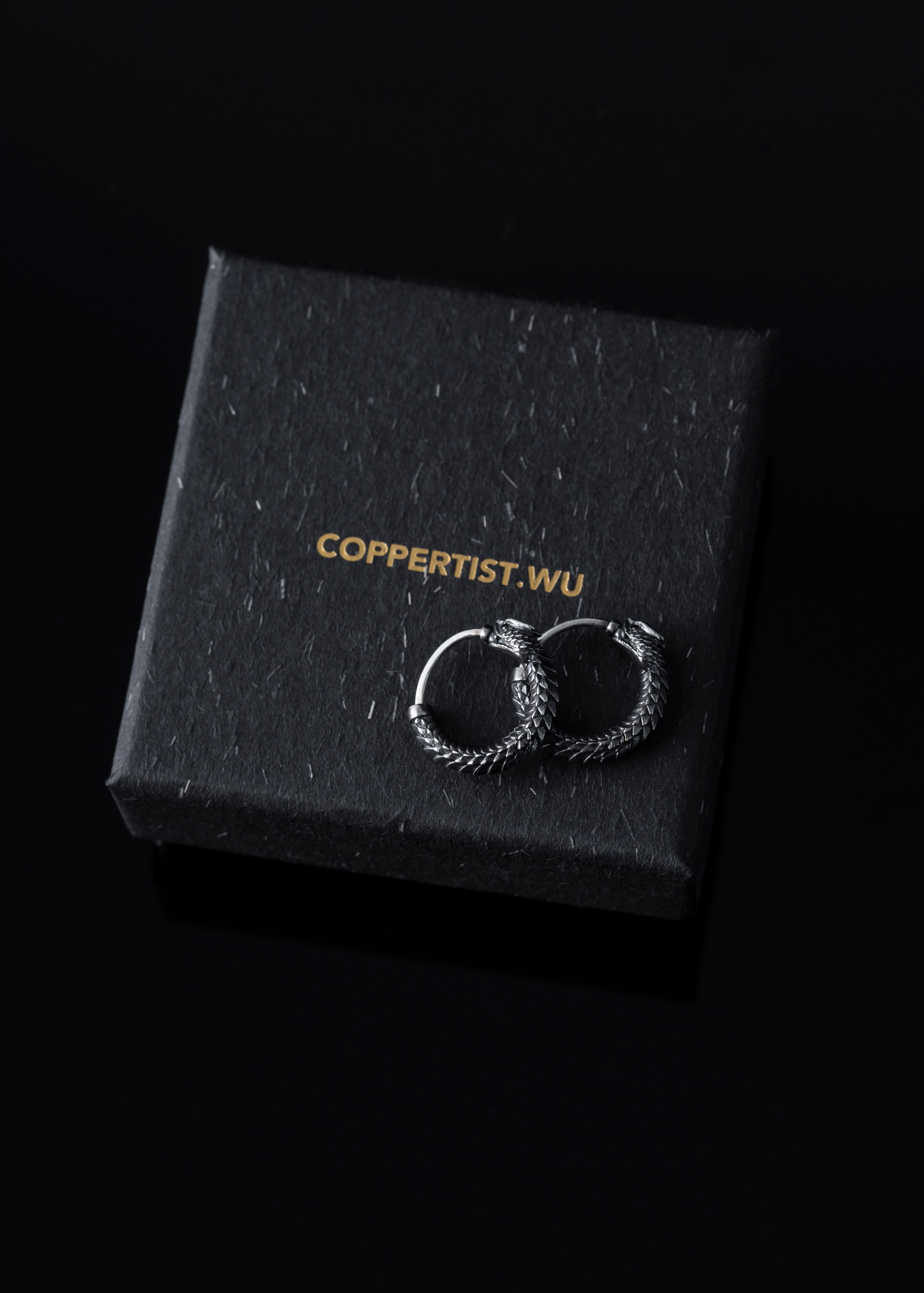 Close-up of stylish silver earrings displayed on a sleek black gift box.