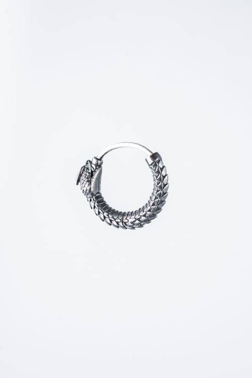 Free High-quality close-up of a detailed silver dragon-shaped earring against a white background. Stock Photo