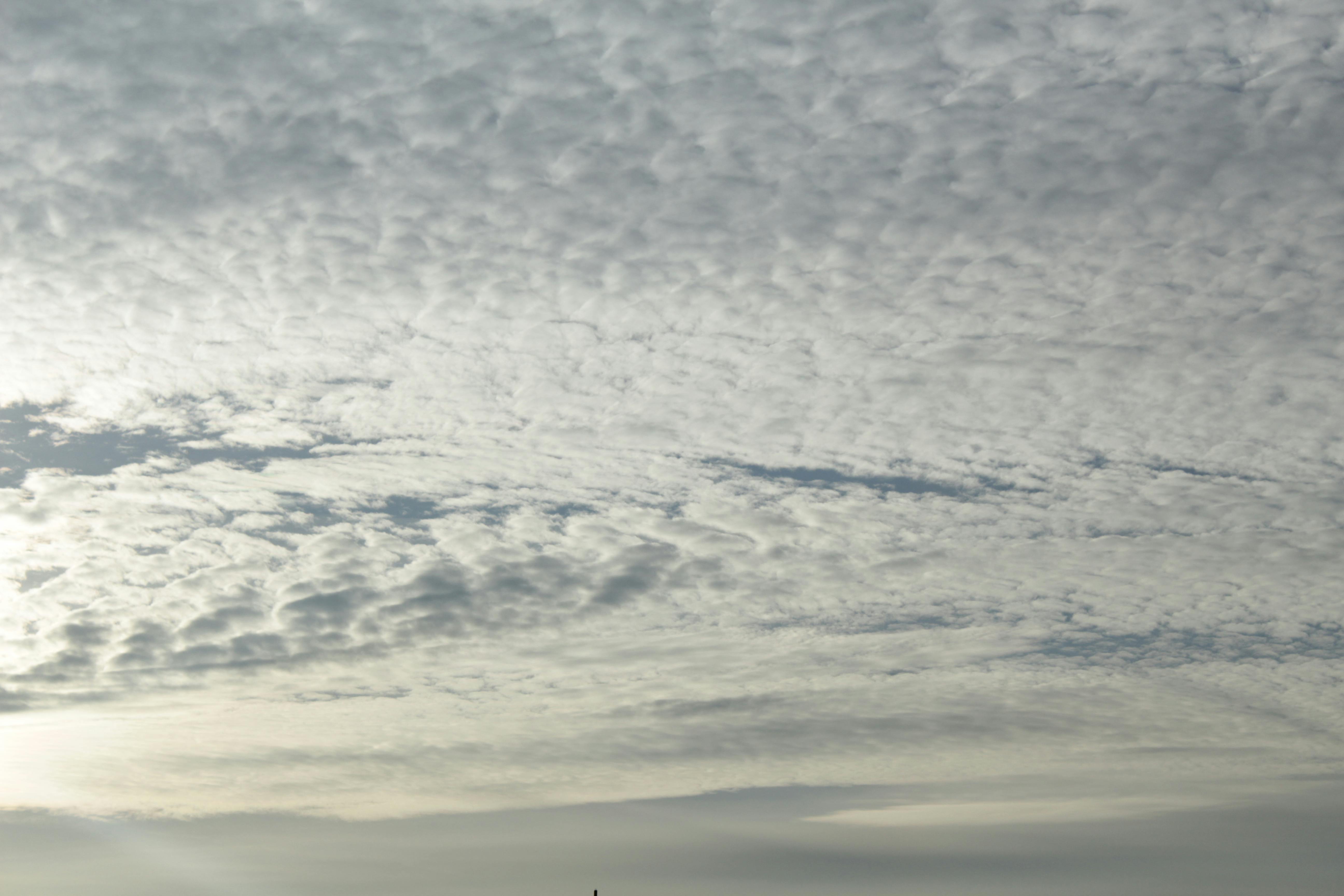 Free stock photo of clouds, sky, the ocean in the sky