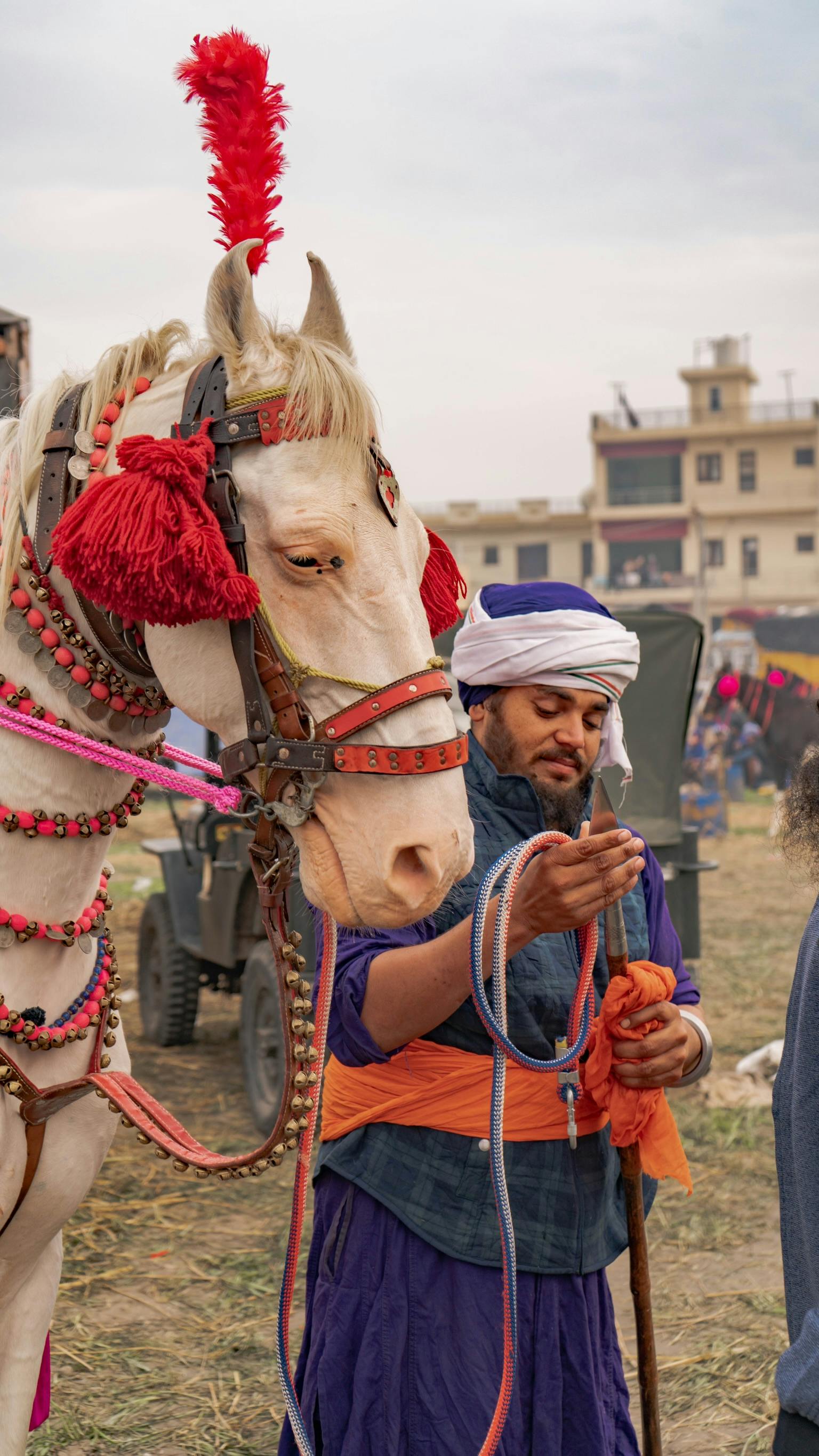 Horse And Rider In Traditional Indian Attire · Free Stock Photo