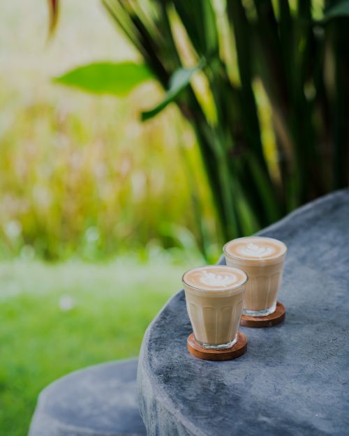 Free Two lattes on a stone table in a lush garden setting. Stock Photo