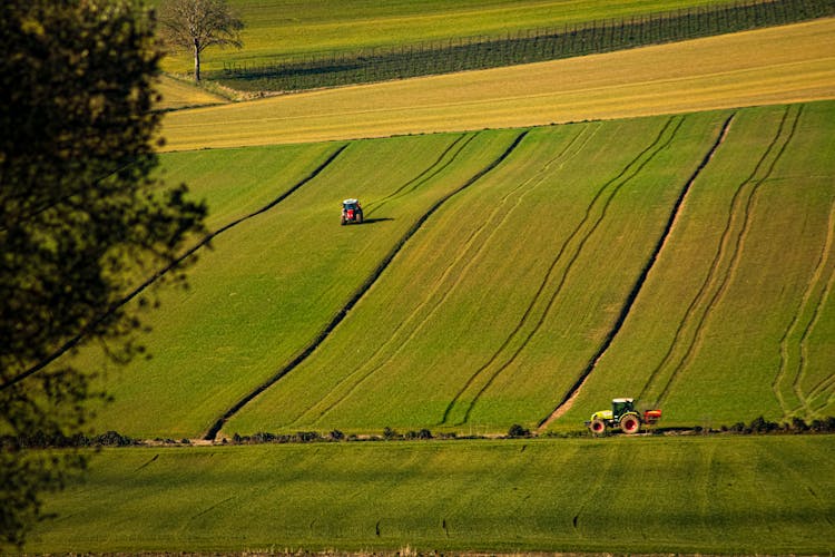 Tractors On Field