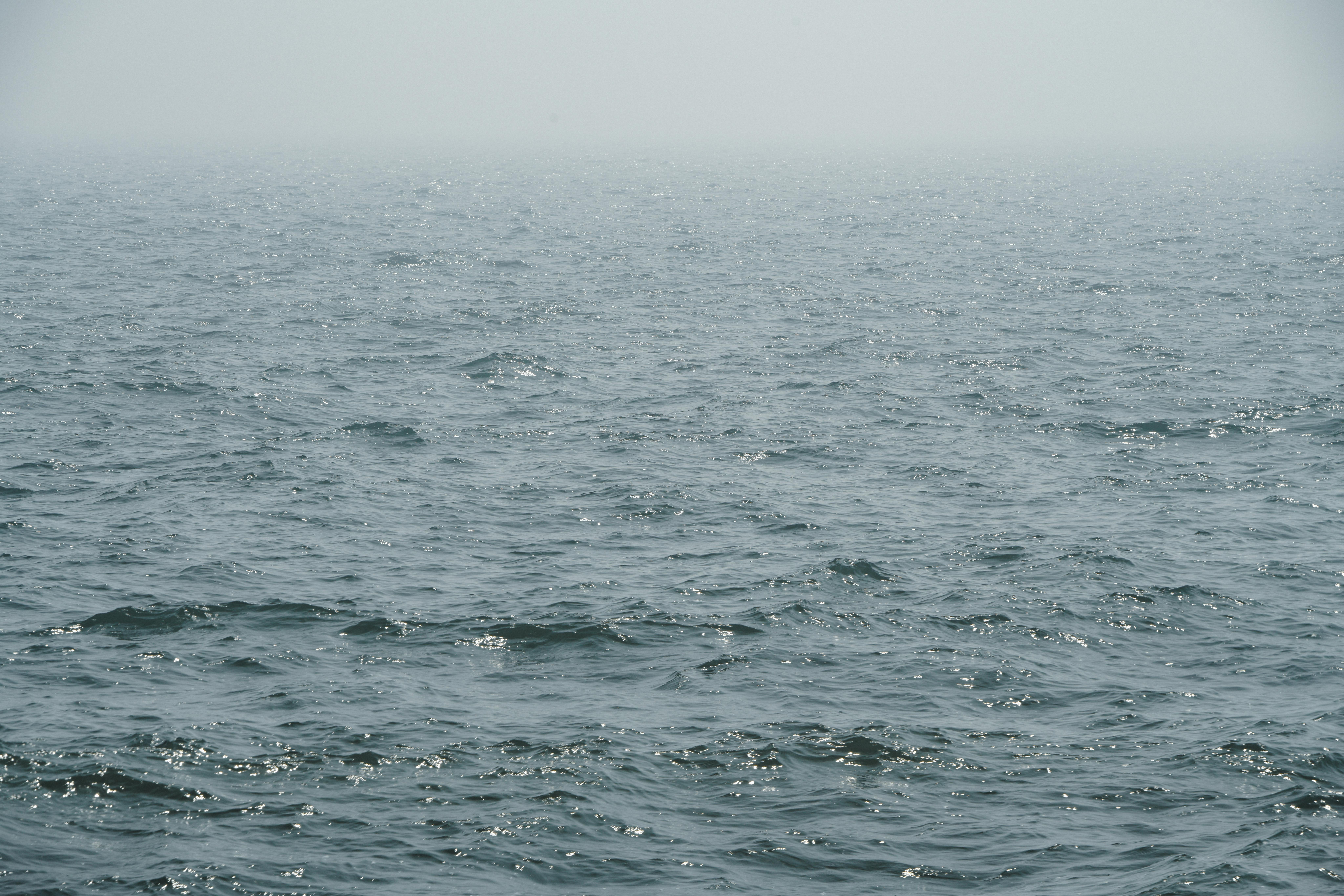 A More Troubling Picture of Sea Level Rise Is Coming into View — Photo by Suki Lee on Pexels
