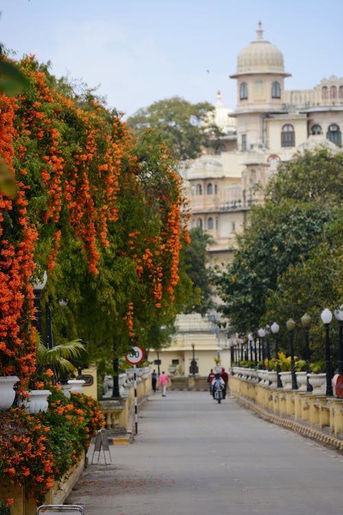 View of the Shiv Niwas Palace from an Alley between Trees in Udaipur, India 