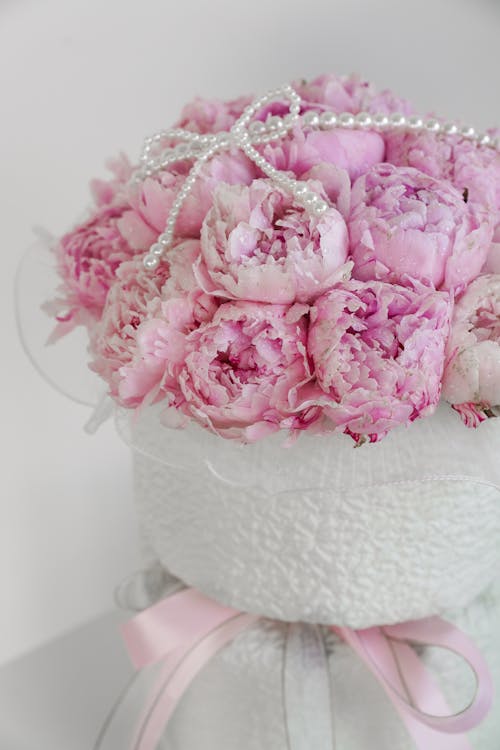 분홍색 모란 꽃의 선택적 초점 사진 · 무료 스톡 사진