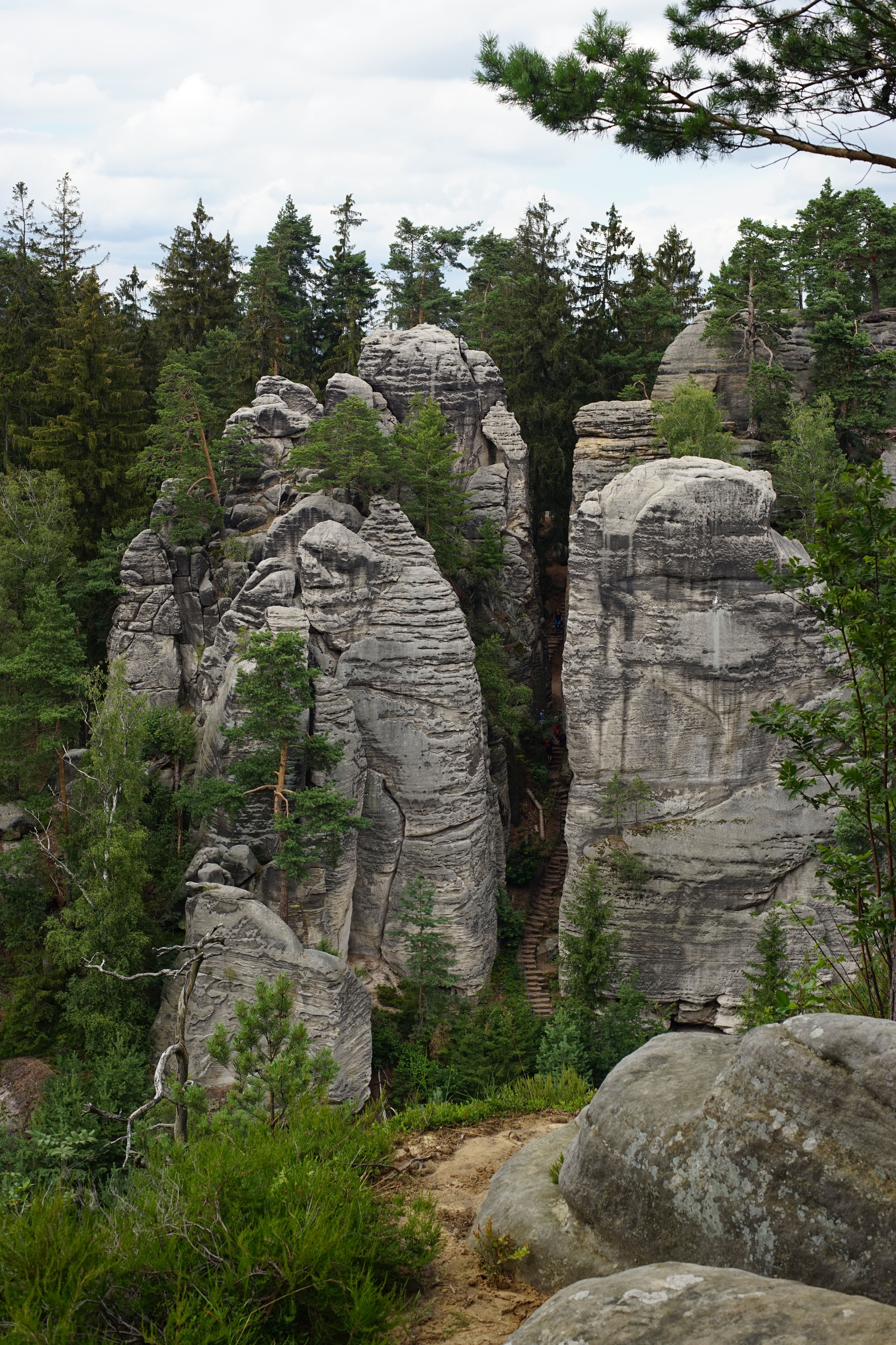 Rocks and Green Trees in Wild Nature · Free Stock Photo