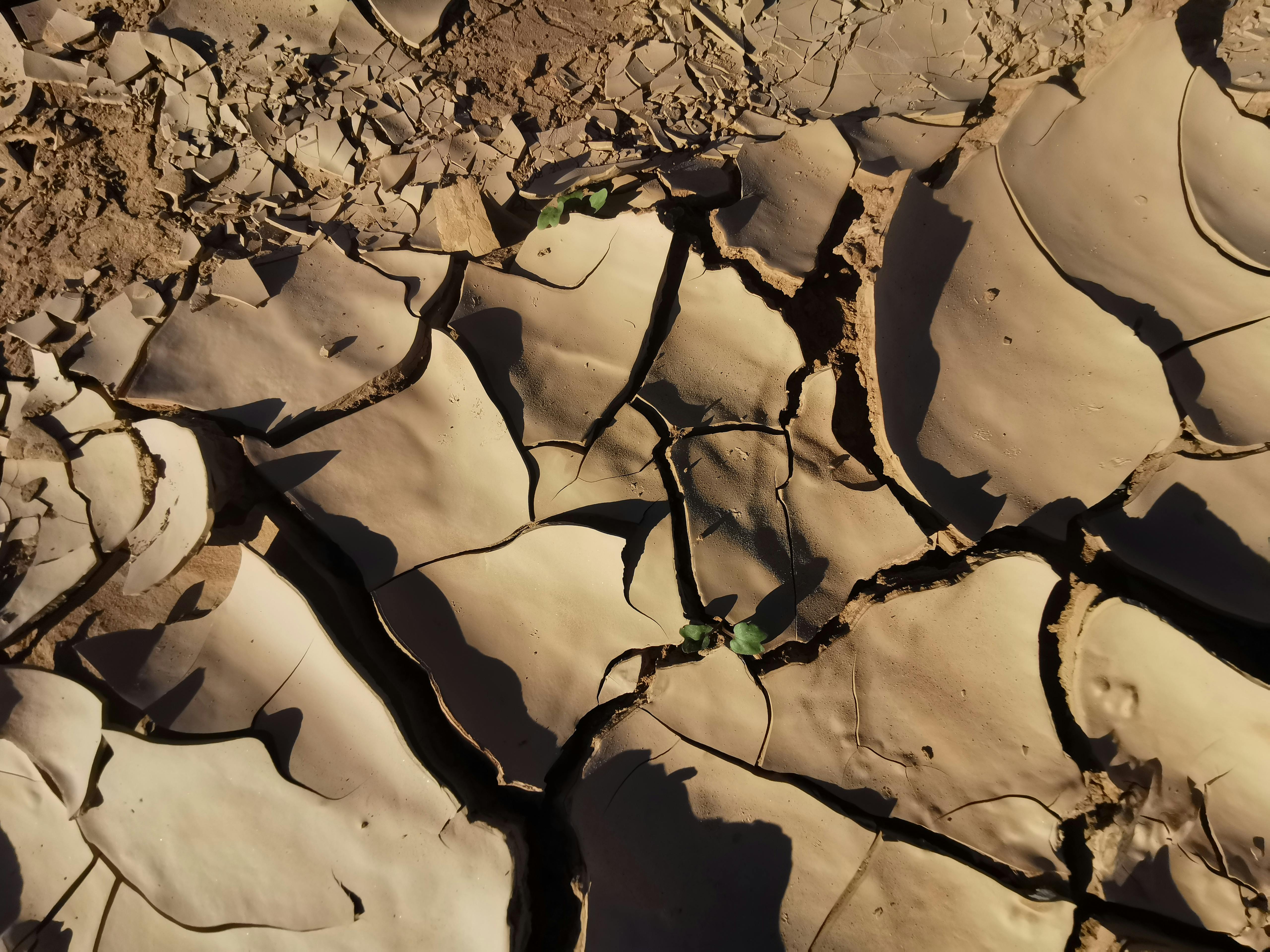 生活：小S準備回歸舞台！睽違一年復工近況曝光