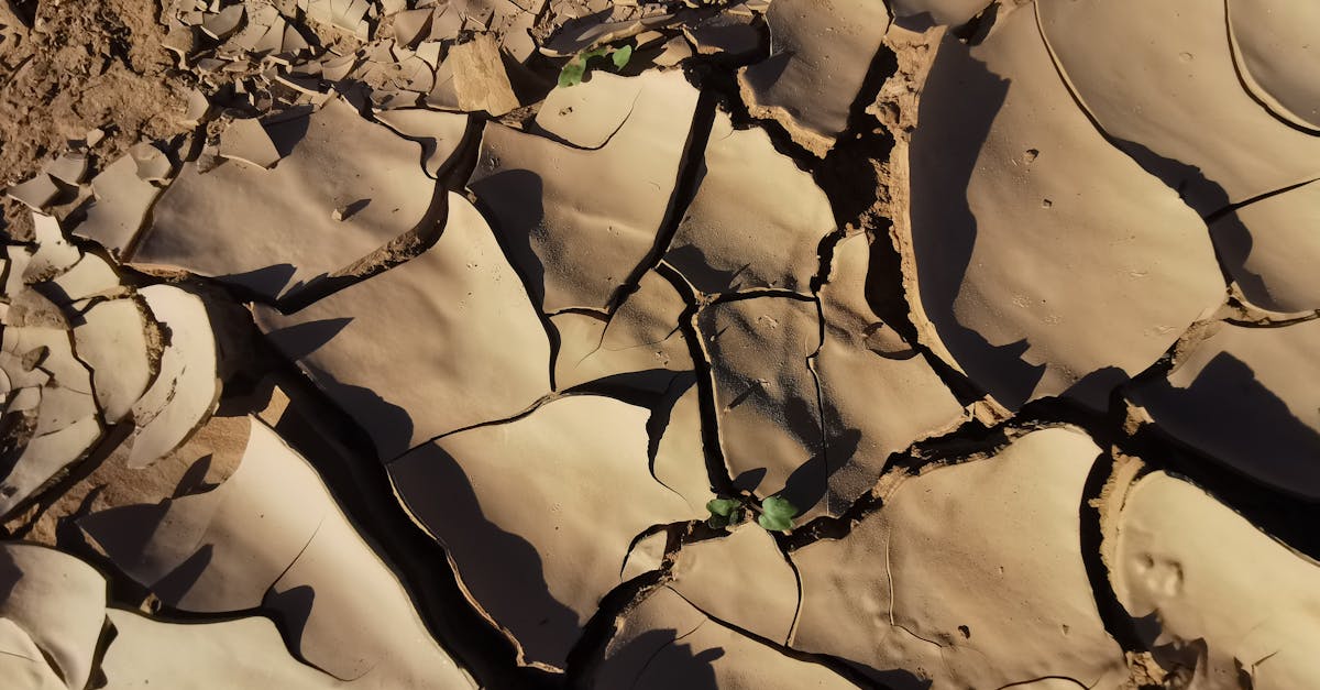 生活:小S準備回歸舞台!睽違一年復工近況曝光