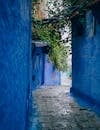 在摩洛哥马拉喀什，有一条风景如画的狭窄小巷，墙壁是蓝色的，还爬满了常春藤