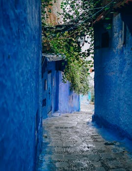 在摩洛哥马拉喀什，有一条风景如画的狭窄小巷，墙壁是蓝色的，还爬满了常春藤