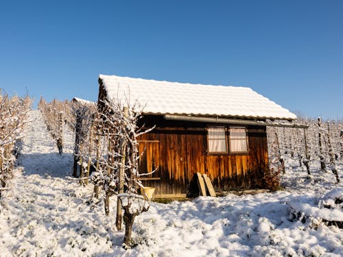 Kostnadsfri bild av bondgård, by, byar