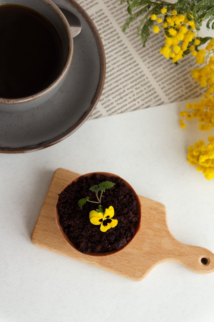 A Yellow Pansy In A Pot And A Cup Of Tea 