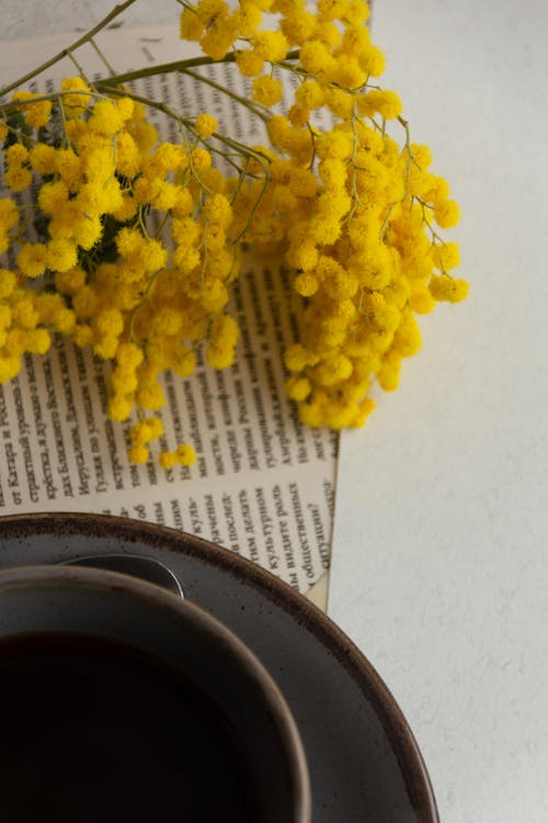 Free Cup of Coffee Stock Photo