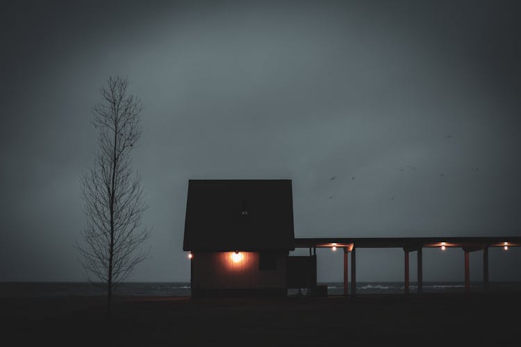 Single Tree And Wooden Hut On Sea Coast In Evening