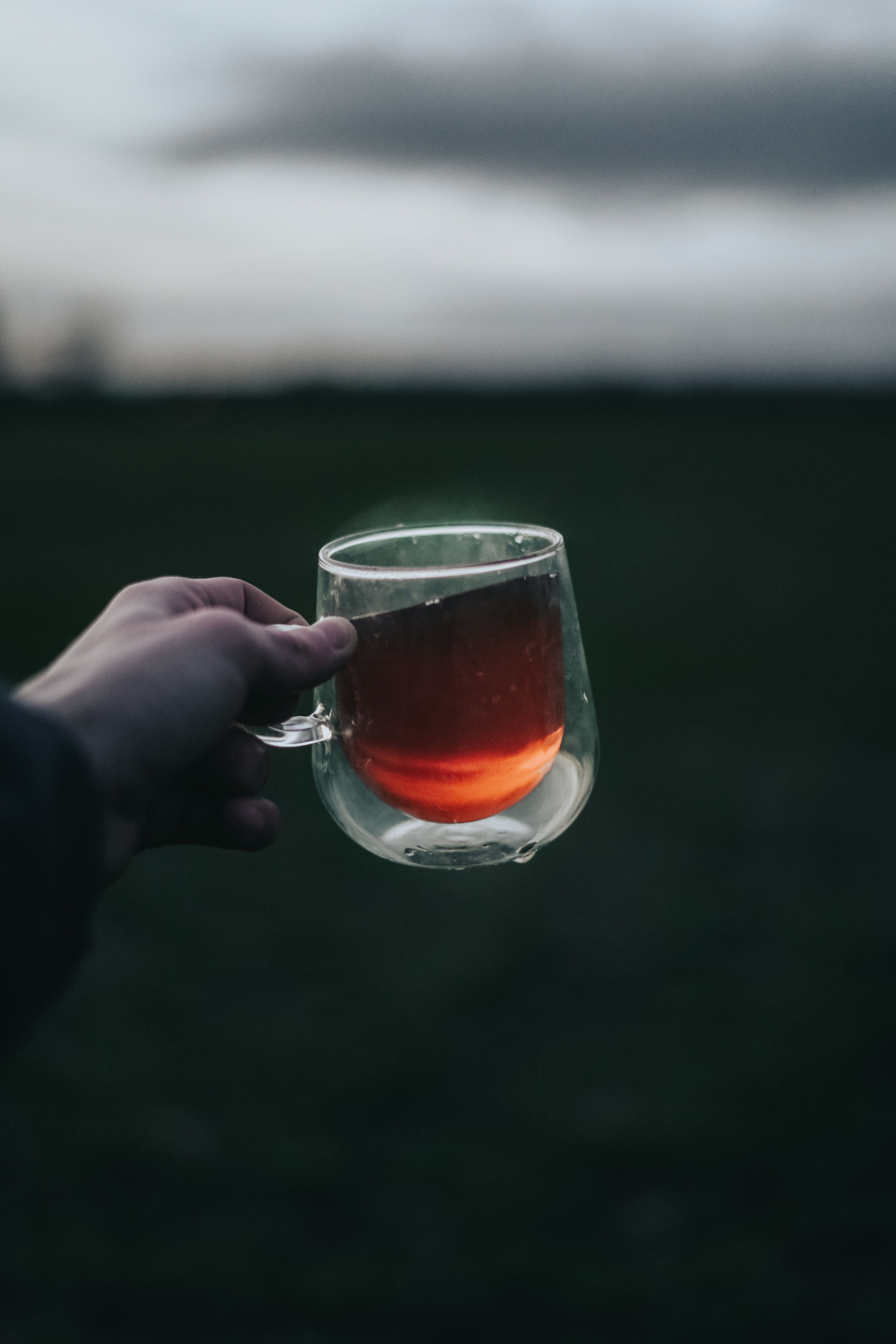 Hand Holding Tea Cup · Free Stock Photo