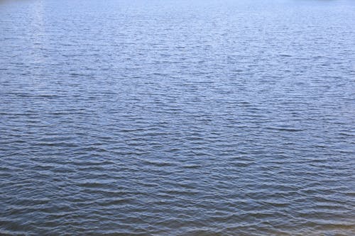 Бесплатное стоковое фото с водоем, волны, море