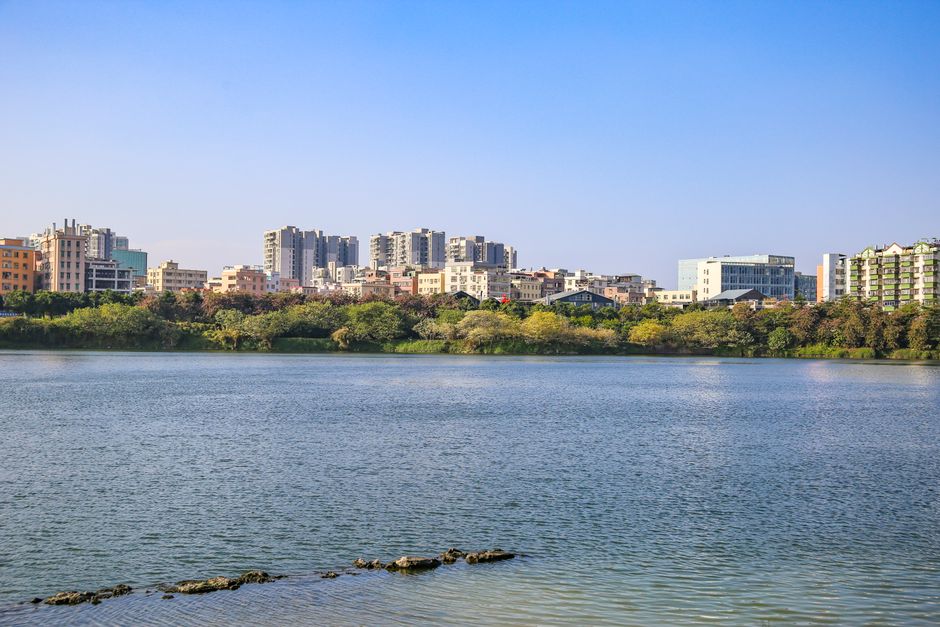 Beautiful urban skyline with trees across a tranquil lakeside waterfront view.
