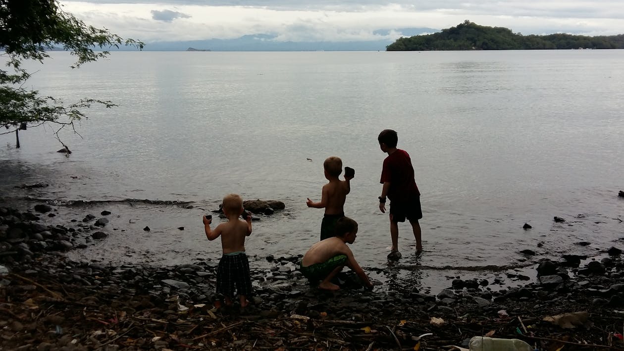 城市化如何重塑土壤與氣候?公民科學應用揭露都市生態危機與2026年永續轉型路徑 城市化如何重塑土壤與氣候?公民科學應用揭露都市生態危機與2026年永續轉型路徑