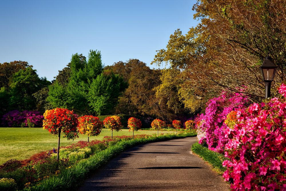 Landscaped garden with flowers and green lawns.
