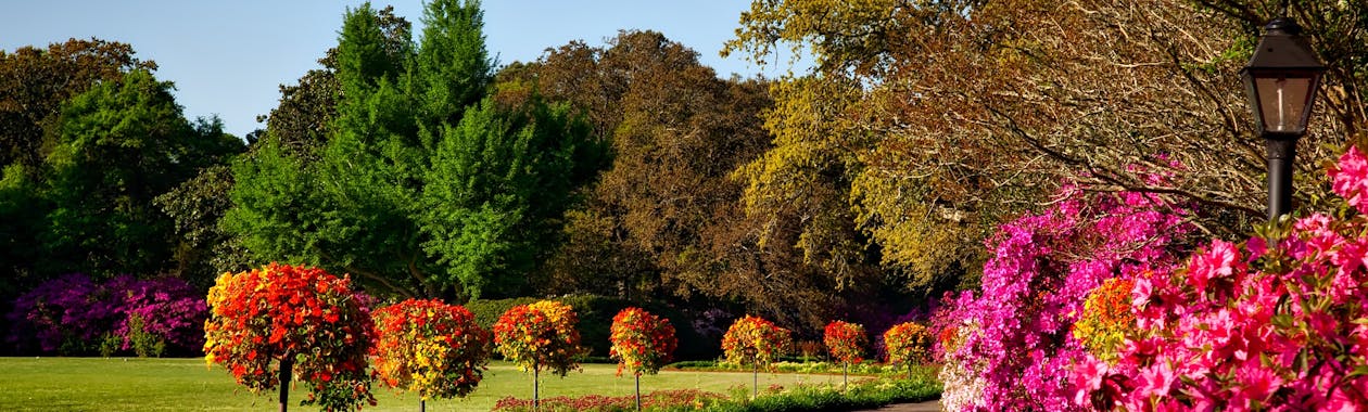 Lalbagh Botanical Garden Bangalore lush green trees garden 2026