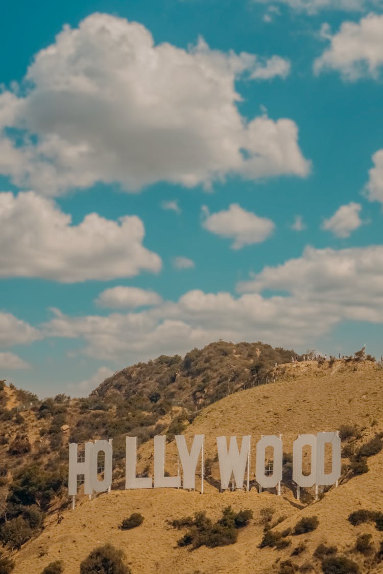 Hollywood Sign On Hill