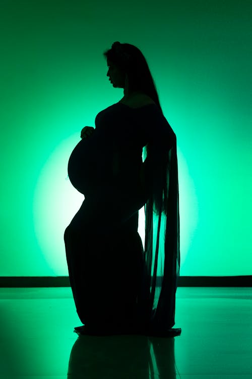 Silhouette of a Pregnant Woman 