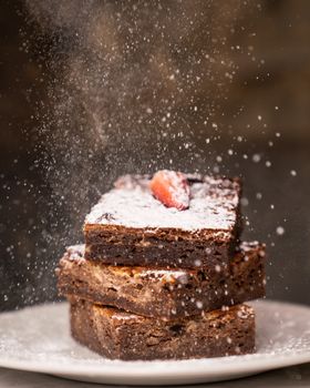 Chocolate Fudge Advanced Protein Powder — kidney-friendly food