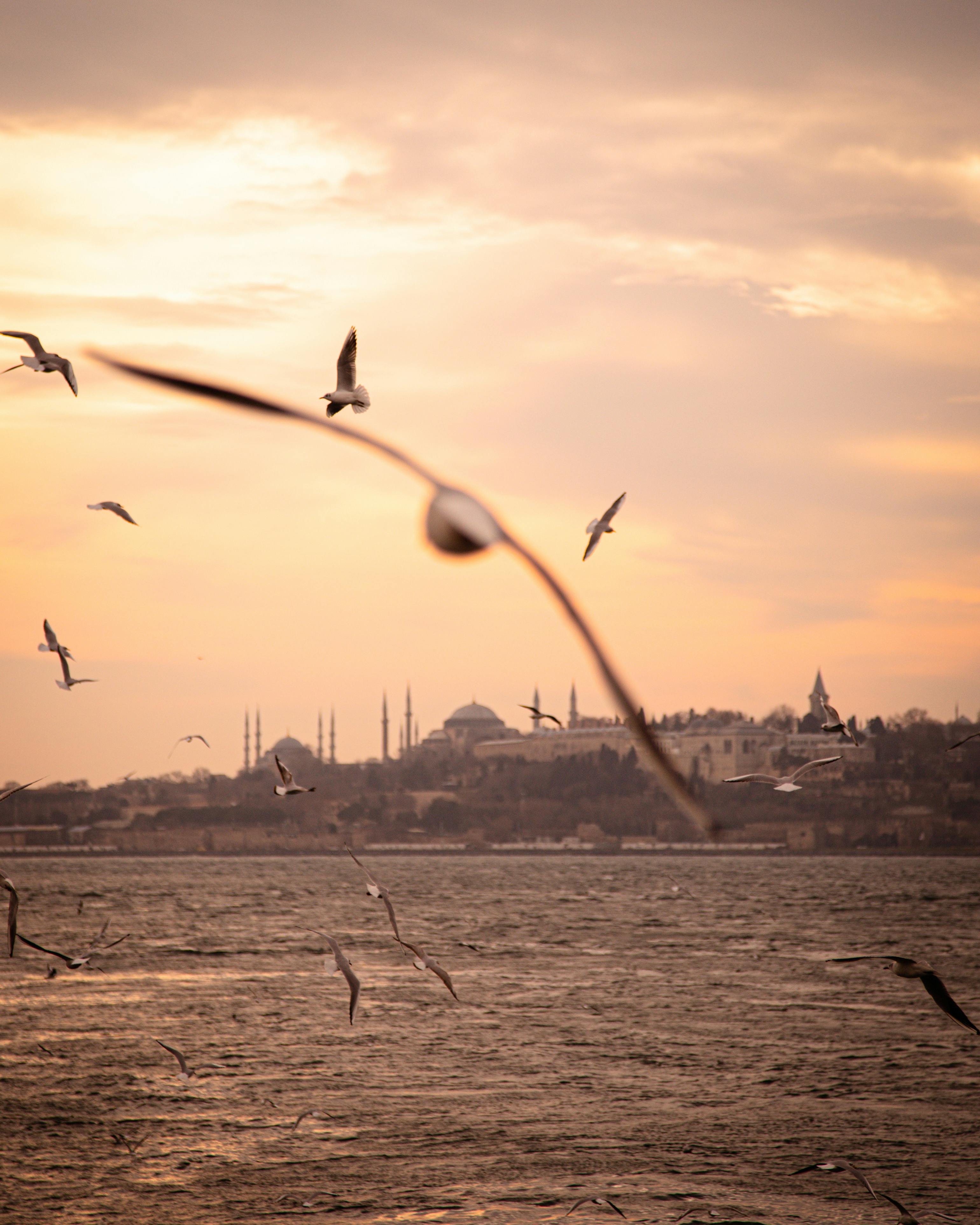Free stock photo of istanbul, i̇stanbul lovers, istanbul türkiye