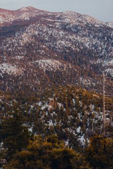 Breathtaking view of snow-dusted mountains with dense forests during fall.