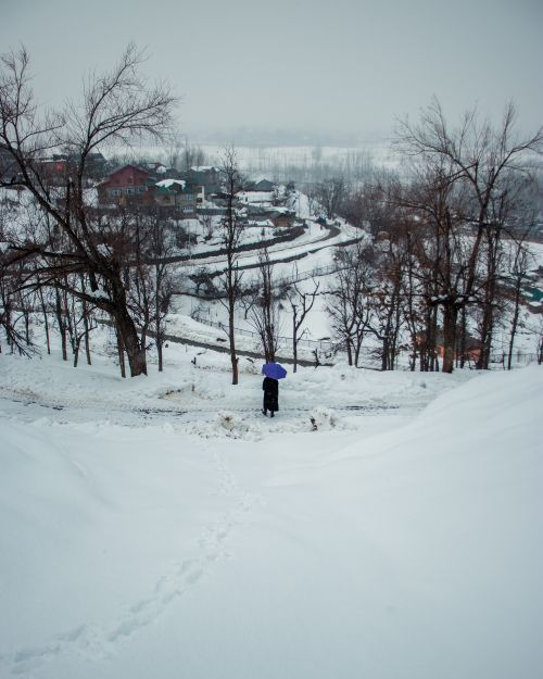 Free Scenic winter view in Srinagar, featuring snow-covered hills, a person with an umbrella, and bare trees. Stock Photo