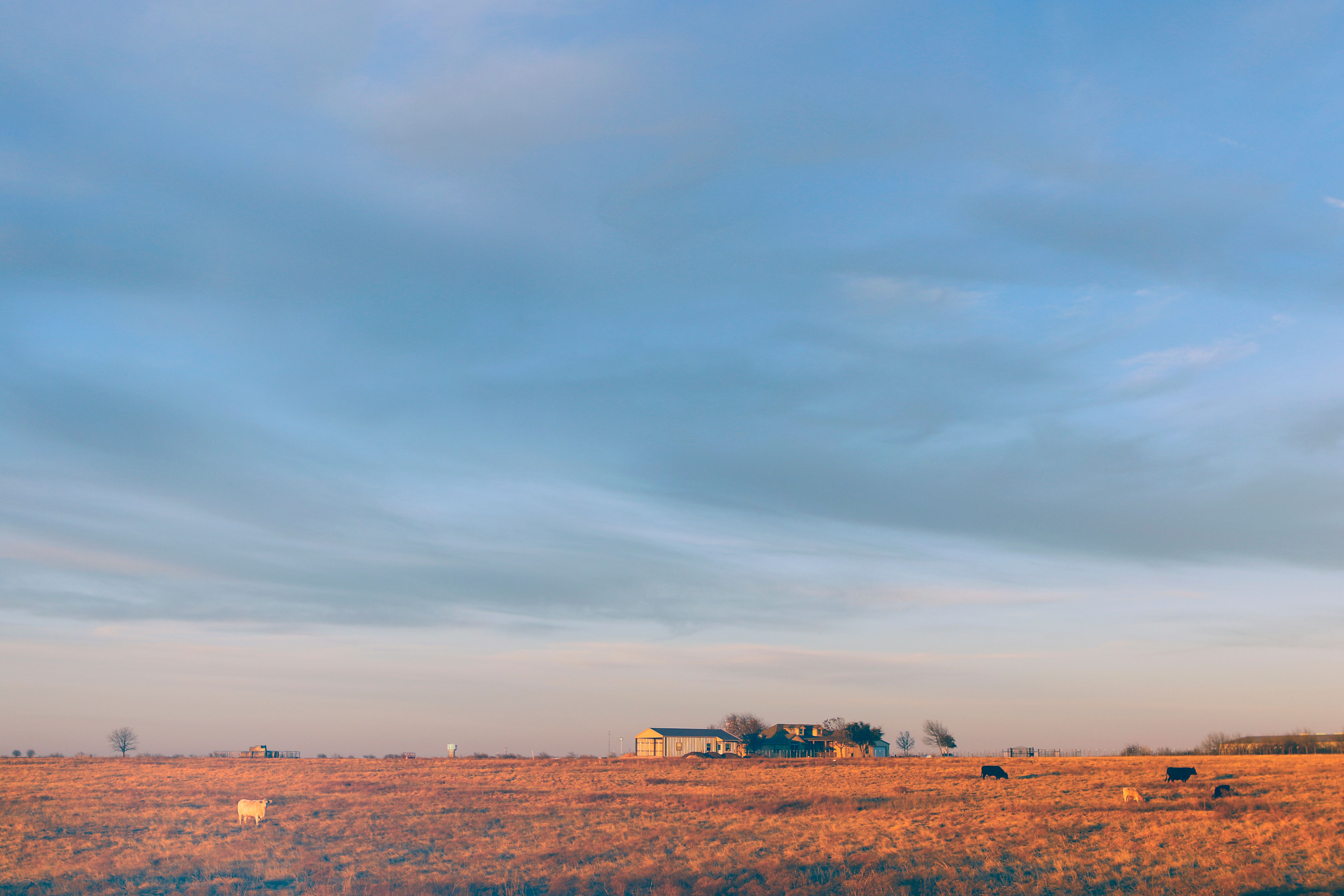 Serene rural landscape with cropland and farmhouse under a wide sky, perfect for agricultural themes.