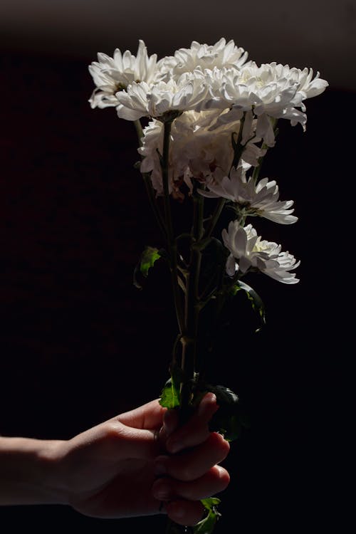 Close-up of Woman Holding a White Flower Bouquet