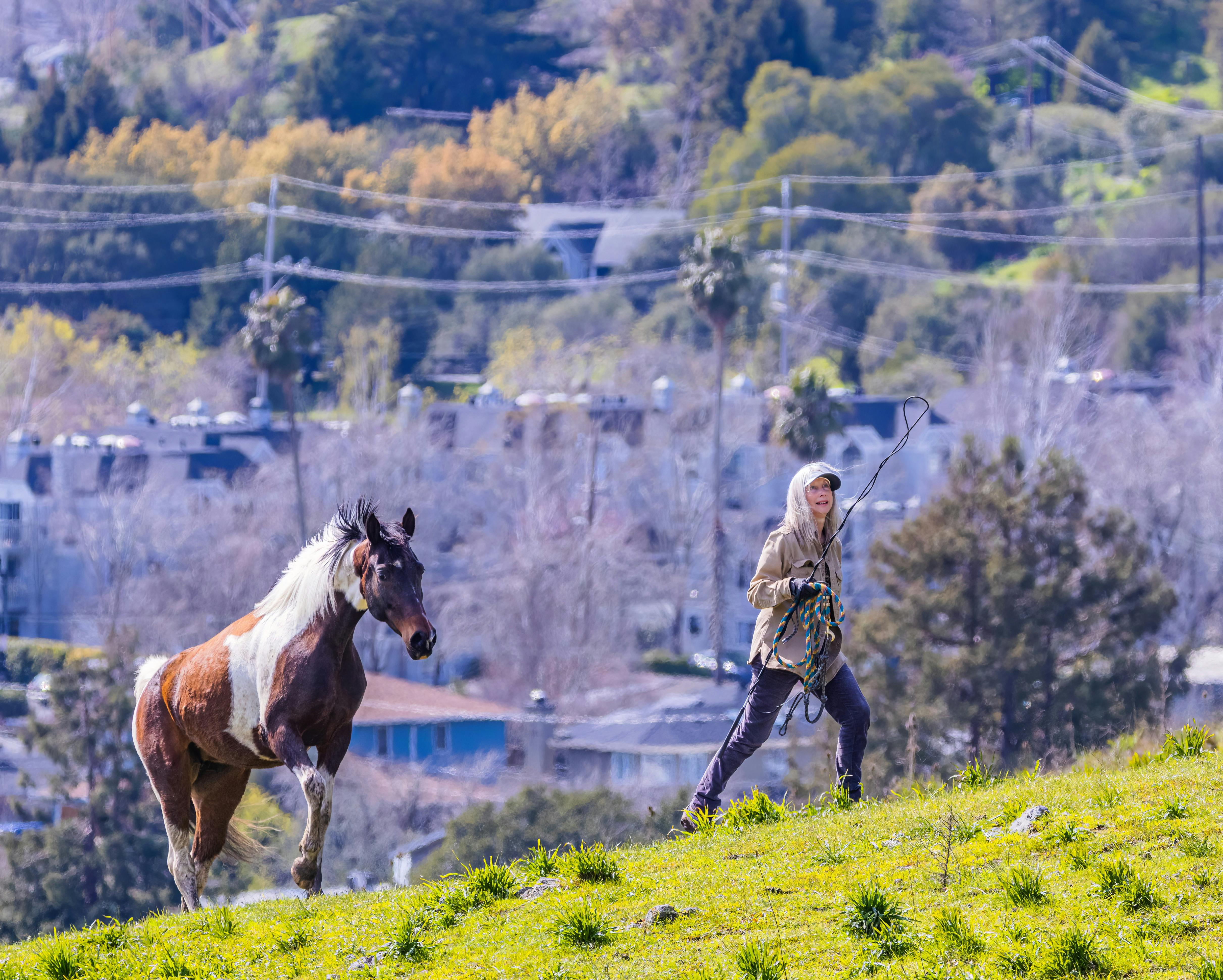 Woman Guiding a Horse Up a Hill · Free Stock Photo