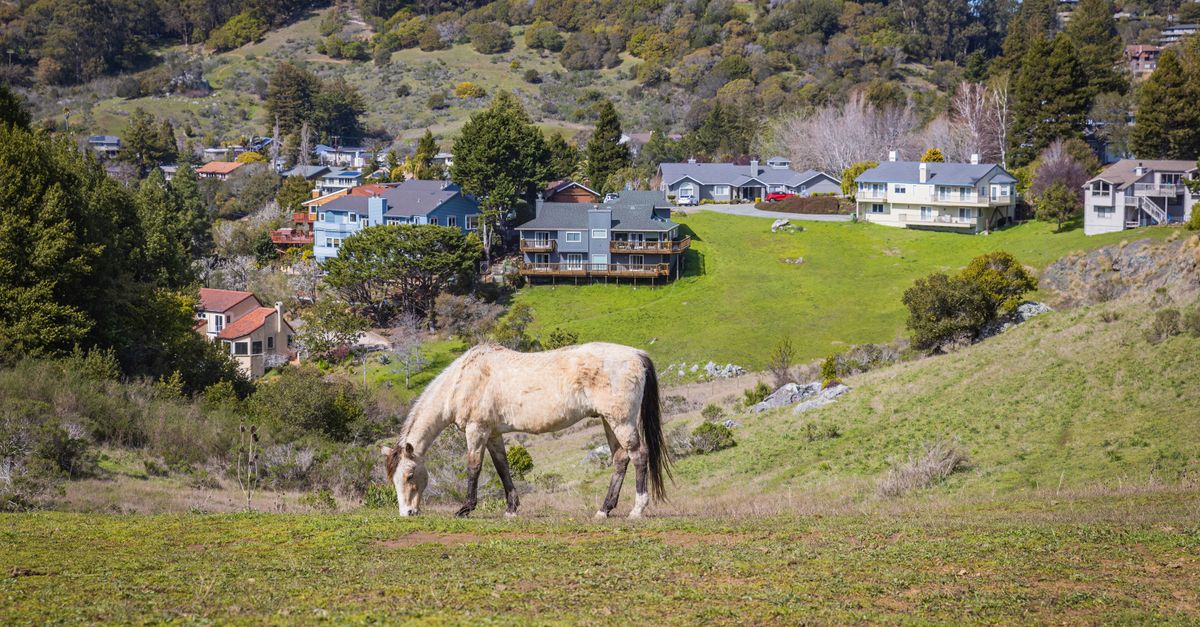 A serene countryside view with horse grazing near picturesque villas.