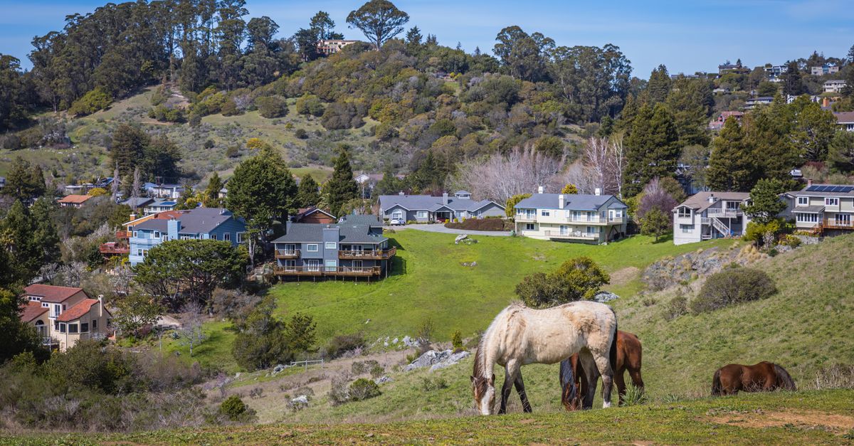 Idyllic rural village landscape with horses grazing in a lush meadow, ideal for countryside themes.